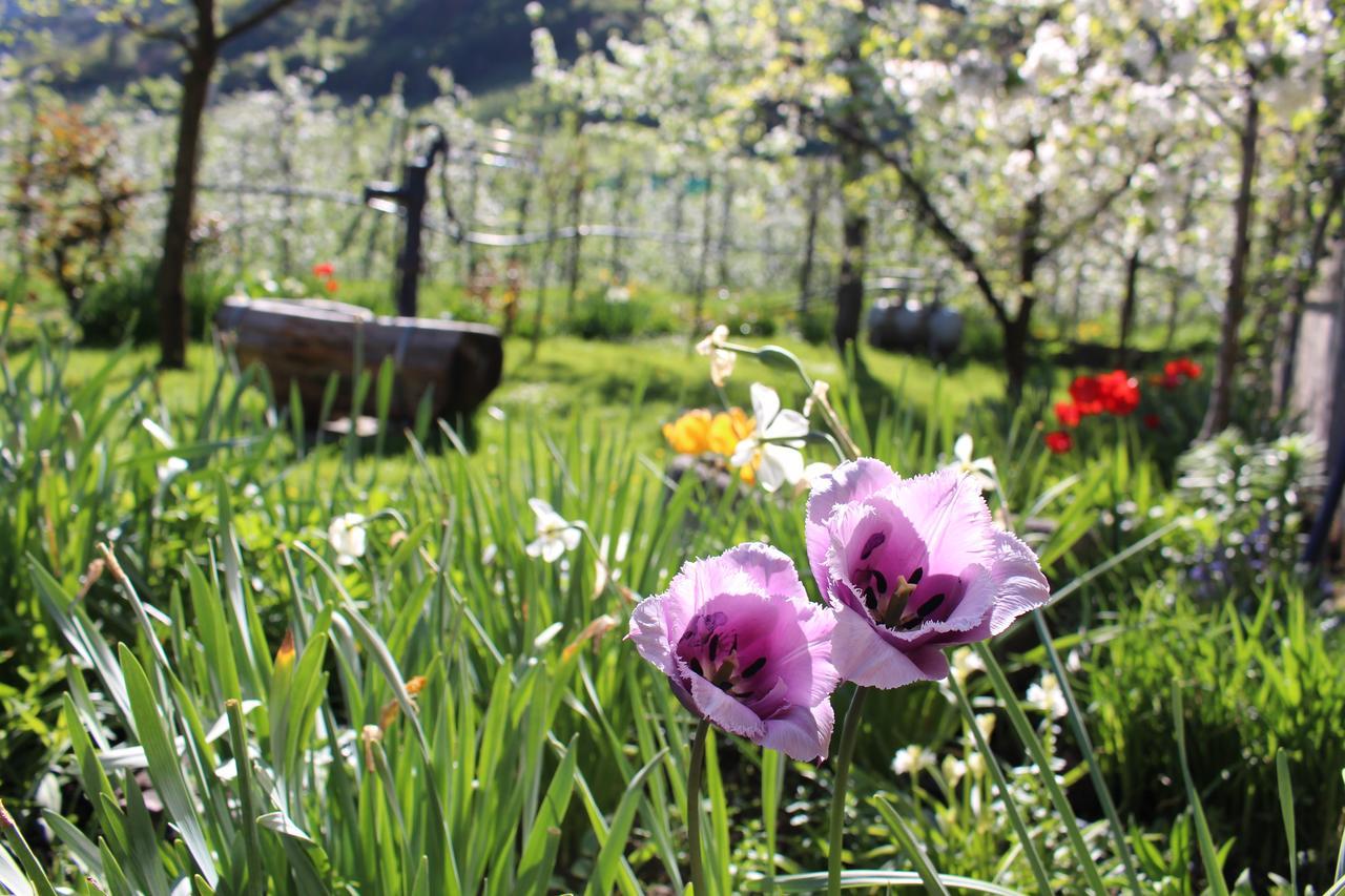 Eco Bnb & Apartments Bruendlerhof 马伦格 外观 照片